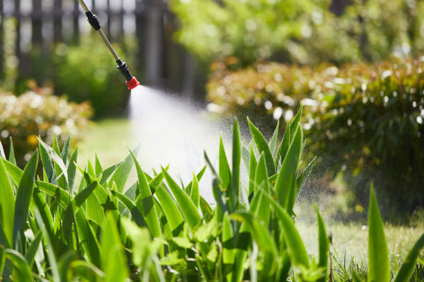 24/7 Emergency Mosquito Control experts in Cloverdale, IN
